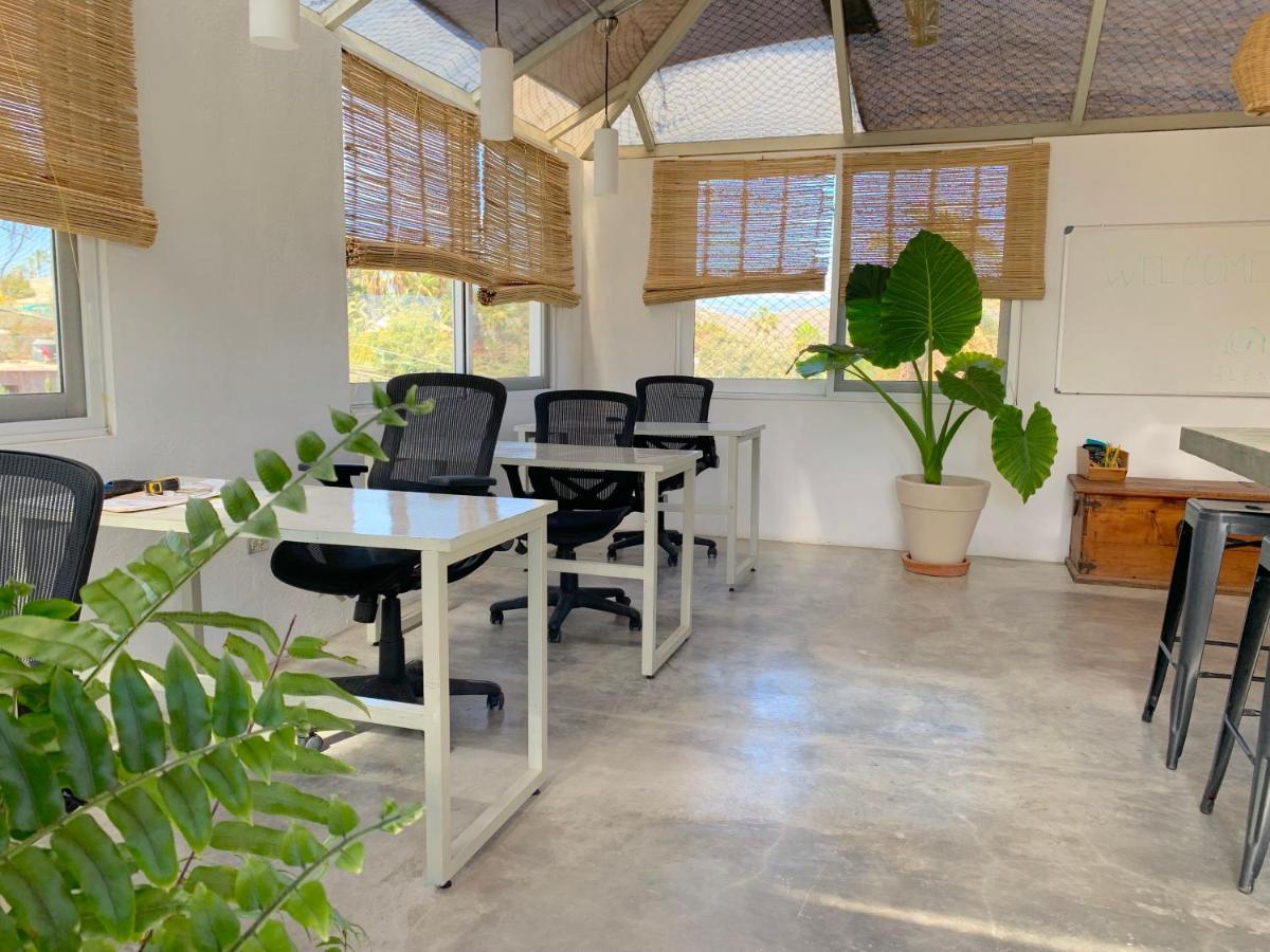 Hotel Perro Surfero Todos Santos Eksteriør billede