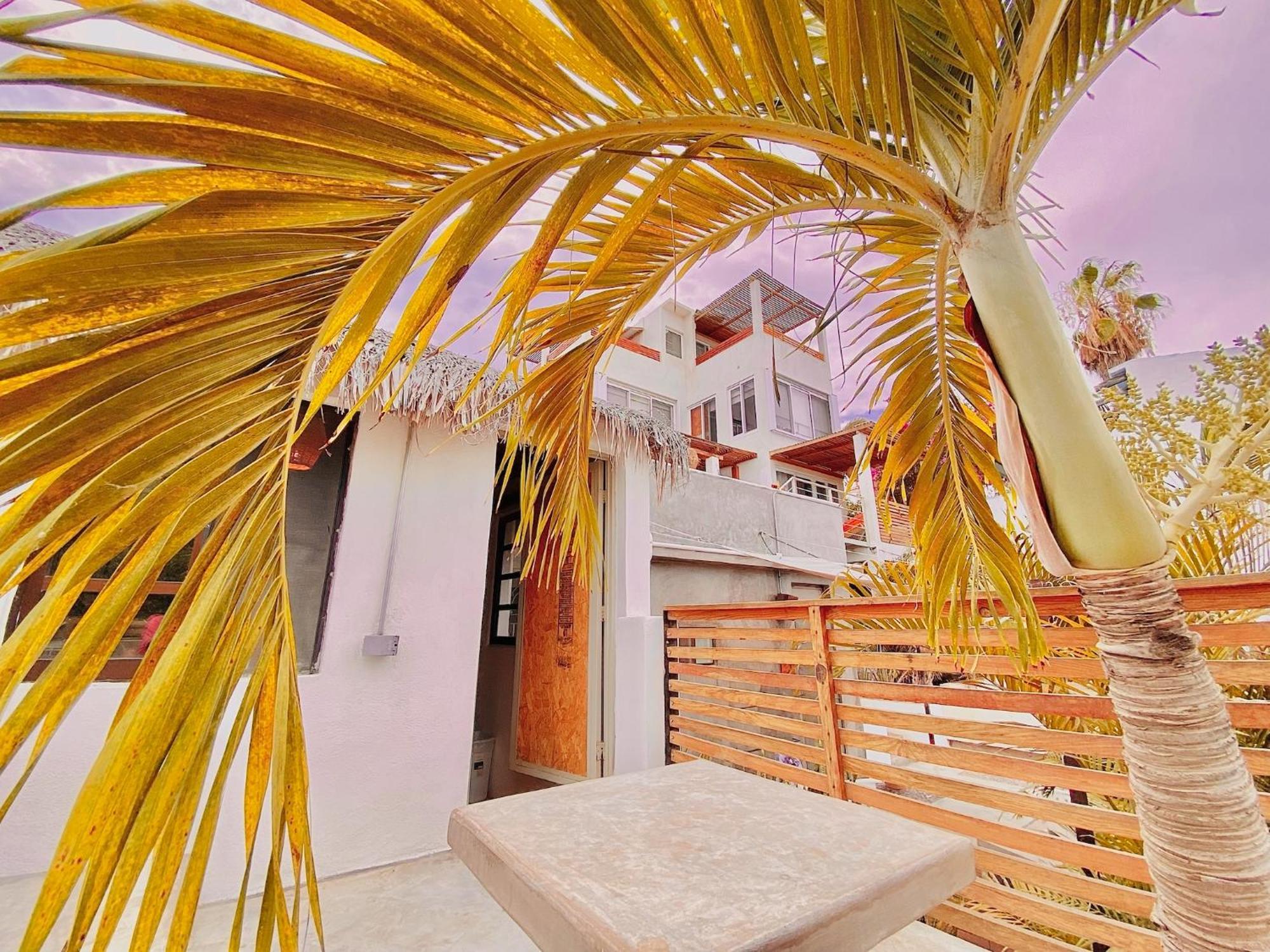 Hotel Perro Surfero Todos Santos Eksteriør billede